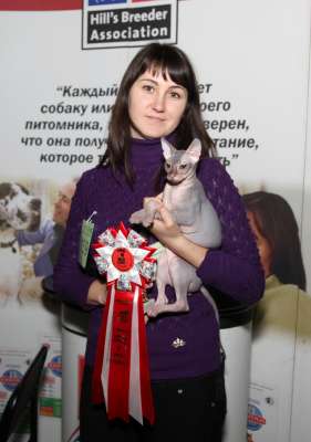 �������� ����� '������� ���-�����' 30 ������-1 ������� 2013., WCF-����� 3900